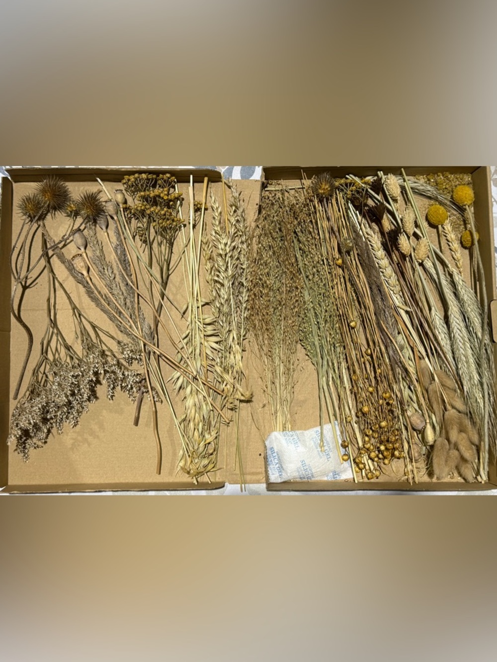 Dried Wildflower Mix - Neutral Tones